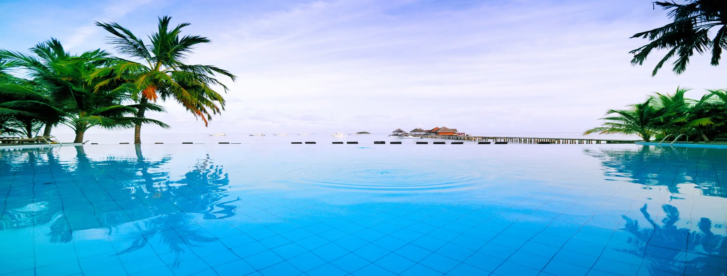 Image for Tropical Luxury